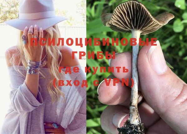 герыч Алзамай